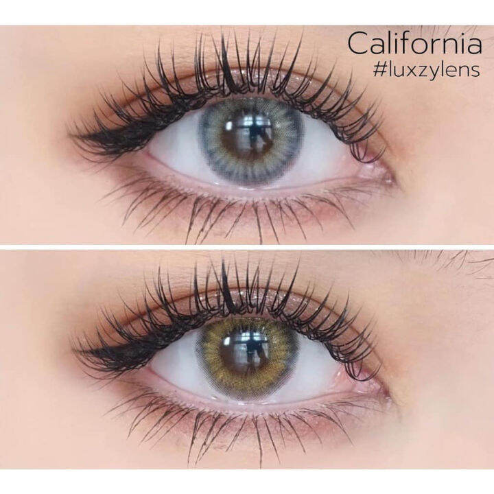 คอนแทคเลนส์-ขนาดมินิ-brown-gray-california-luxzylens