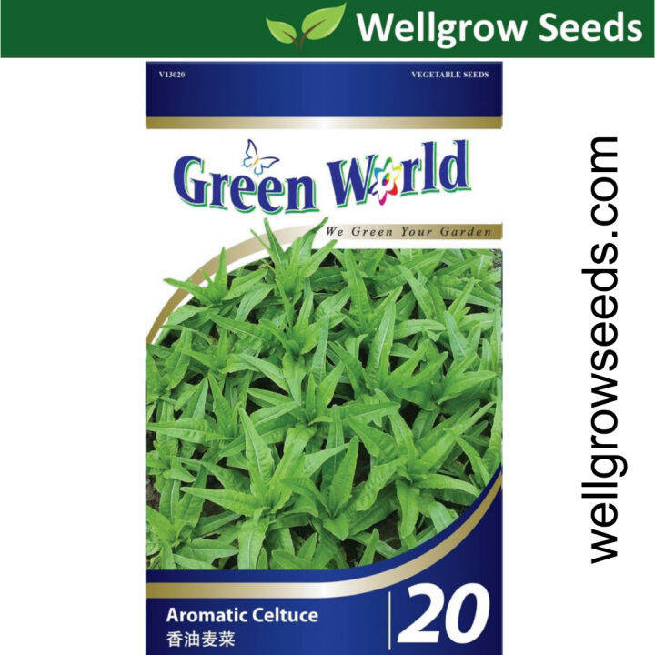 Green World Seeds Celtuce Aromatic Gm Gw Lazada