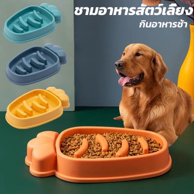 【Cai-Cai】️️ชามอาหารสัตว์เลี้ยง ชามให้อาหารสุนัข ชามให้อาหารแมว สุนัขและแมว ชะลอกิน
