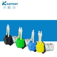 [ดีที่สุด A]✩ Kamoer DC 12V 24V ปั๊มเครื่องปั๊มของเหลวหัวฉีดพร้อมขั้วต่อ Arduino พิพิธภัณฑ์สัตว์น้ำห้องปฏิบัติการวิเคราะห์ของเหลว Diy เครื่องมือมอเตอร์ต่อ