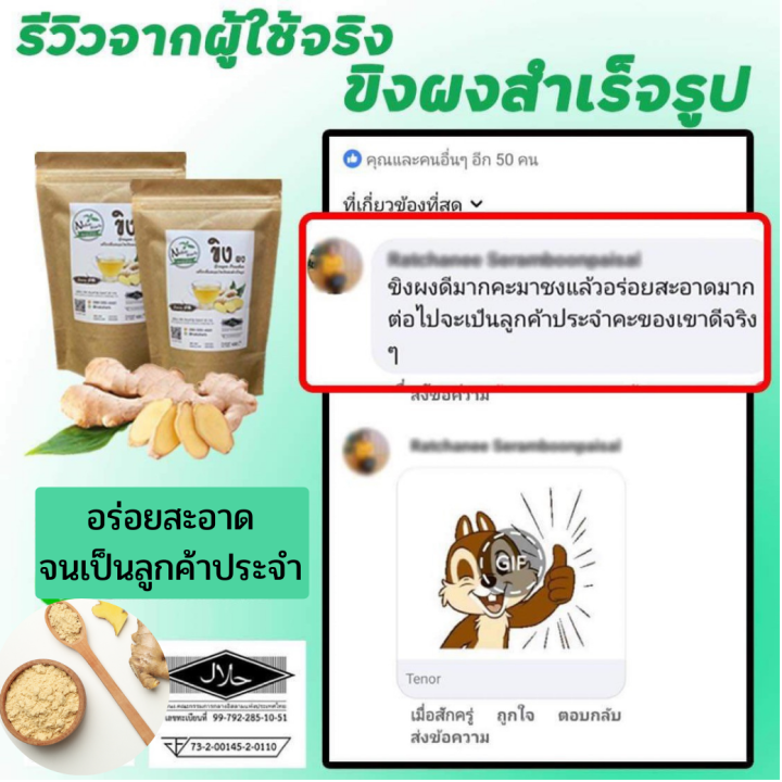 ขิงผง-100-naka-herb-ไม่ผสมน้ำตาล-ไม่มีตะกอน-เนื้อละเอียด-ผลิตด้วยวิธี-spray-dry-2-ห่อ-300