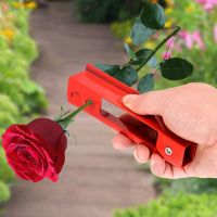 Gardening Thorn Peeling Flower Leaf Floral Rose Metal