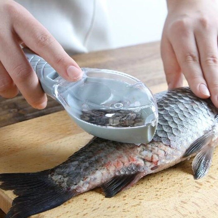 fish-scale-peeler-ที่ขอดเกล็ดปลา-อุปกรณ์ครัว-ที่ขูดเกล็ดปลา-อุปกรณ์ขอดเกล็ดปลา-ที่ขูดเกล็ดปลา