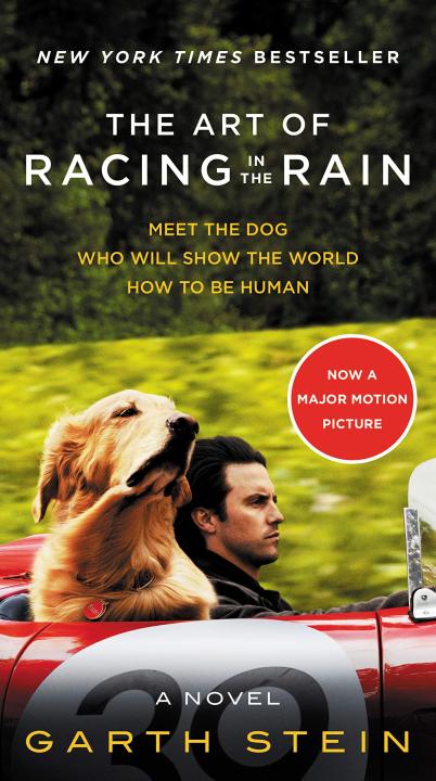 Im waiting for you in the rain. Amanda Seyfried starred in the art of racing in the rain movie tie in edition