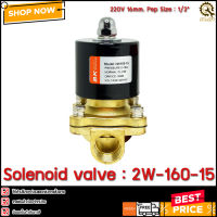 Solenoid Valve BK 2W-160-15,220V   TH