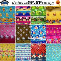 Sale ผ้าห่มนวมลายการ์ตูน 5ฟุต 6ฟุต ผ้าCotton เกรดA ผ้านุ่มห่มสบาย ราคาส่งราคาโรงงาน