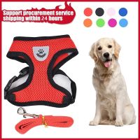 【LZ】 Dog Cat Harness and Leashs Set Soft Training Mesh Chest Strap Outdoor Walking Cat Breastplate Lead for Pug Medium Large Pet