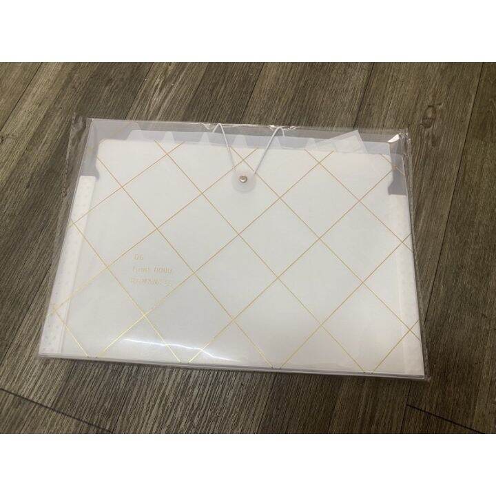 Plastic Envelope / Organizer (8 Divisions) A4 Size Lazada PH
