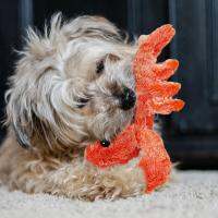 Serbery กุ้งไฟฟ้า Boneka Mainan กุ้งขยับกุ้งกระดิกสำหรับแมวในร่ม
