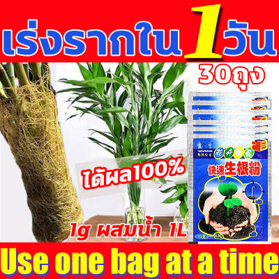 ได้ผล100% เร่งรากใน3วัน ผงเร่งราก 100g ผงเร่งรากพืช ซื้อ1ได้10 พืชมีรากเยอะๆ น้ำยาเร่งราก ใช้ได้พืชทุกชนิด ยาเร่งราก เพื่อปรับปรุงความอยู่รอด เร่งราก อุดมไปด้วยไนโตรเจน ฟอสฟอรัส 1วันจะงอกหลายราก และโพแทสเซียม สารเร่งรากพืช ผงเร่งรากคอมโบ roots booster