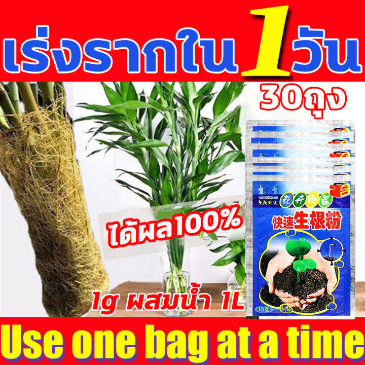 ได้ผล100-เร่งรากใน3วัน-ผงเร่งราก-100g-ผงเร่งรากพืช-ซื้อ1ได้10-พืชมีรากเยอะๆ-น้ำยาเร่งราก-ใช้ได้พืชทุกชนิด-ยาเร่งราก-เพื่อปรับปรุงความอยู่รอด-เร่งราก-อุดมไปด้วยไนโตรเจน-ฟอสฟอรัส-1วันจะงอกหลายราก-และโพแ