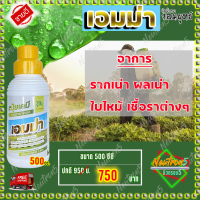 ‼ ส่งฟรี ‼ เอมม่า ปุ๋ยน้ำเอมม่า ( 500 ซีซี 1 ขวด ) ป้องกันการเกิดเชื้อราในพืช ปุ๋ยน้ำสูตรเข้มข้น เพิ่มความแข็งแรงให้กับพืช