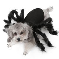 Costume Dogs Cats Outfit