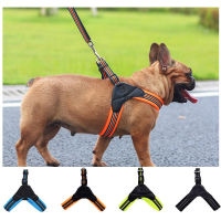 Soft Mesh Dog Harness Easy On and Off No Pull Dog Walking Harness for Small Medium Dogs for Most Pet