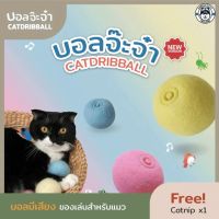 KAFBO Catdribball บอลจ๊ะจ๋า new version มีปุ่มเปิดปิดได้ ของเล่นแมว ลูกบอลสำหรับแมว บอลมีเสียง บอลเสียงสัตว์