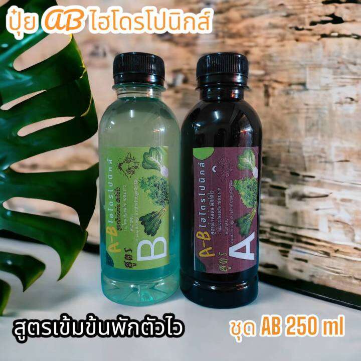 ปุ๋ย-ab-ชนิดน้ำ-250-มิลลิลิตร-by-hydroponicgroup-ร้าน-ab-ไฮโดรโปนิกส์1