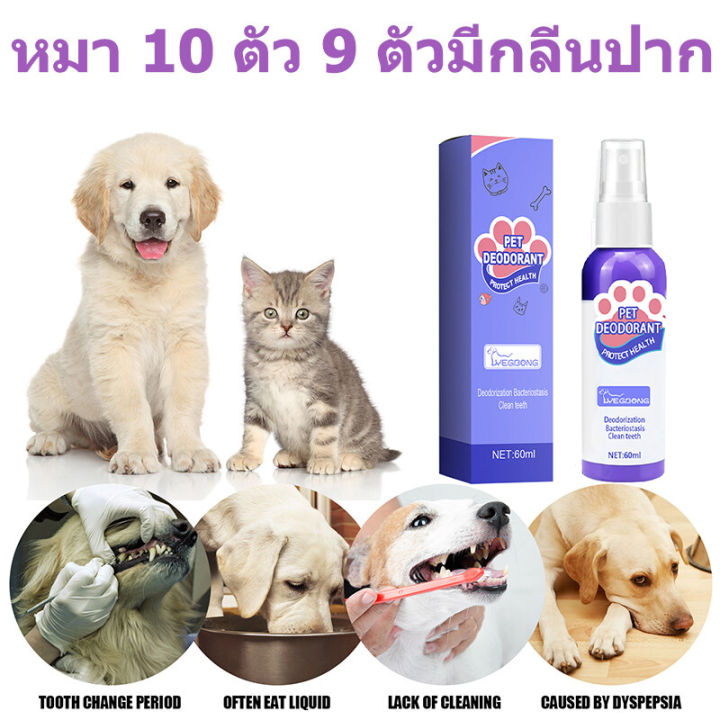 แนะนำจากหมอสัตว์เสี้ยง-yegbong-น้ำยาดับกลิ่นปากแมว-60ml-น้ำยาดับกลิ่นปากสุนัข-ป้องกันโรคในช่องปากของสัตว์เลี้ยง-ขจัดฟันคราบพลัคแคลคูลัสทันตกรรมใช้ได้ทั้งแมวและสุนัข-ดับกลิ่นปากแมว-ดับกลิ่นปากหมา-สเปรย