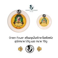 Green Power ครีมสมุนไพร รักษาโรคผิวหนัง