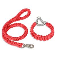 【DT】Heavy Duty Pet Dog Collar Leash Set Adjustable Obedience P Chain Collar Nylon Dog Leash Strap Lead Rope for Medium Large Dogs hot 1