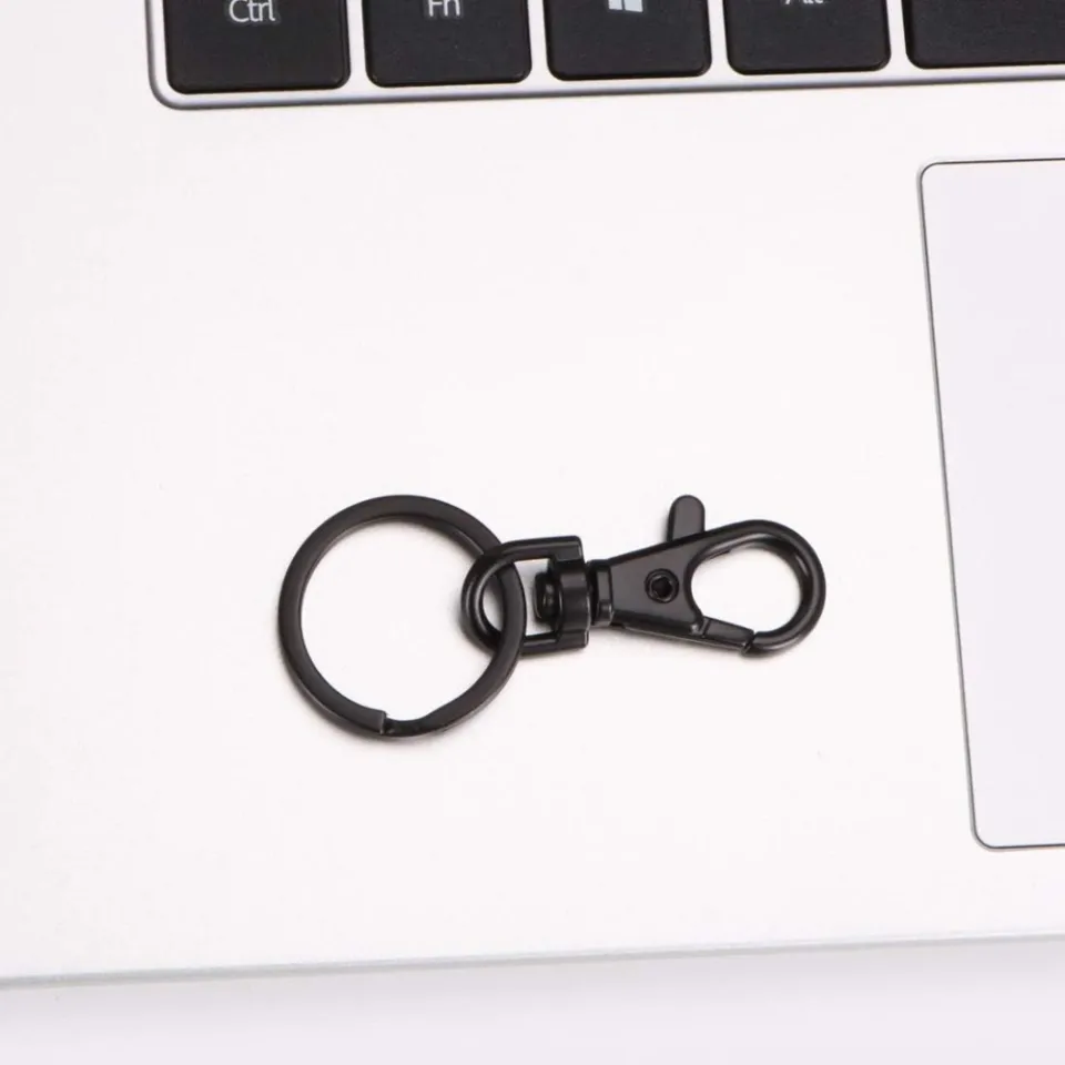NORORTHY Metal Key Chain Rings 20pcs Black Keychain Clip Small
