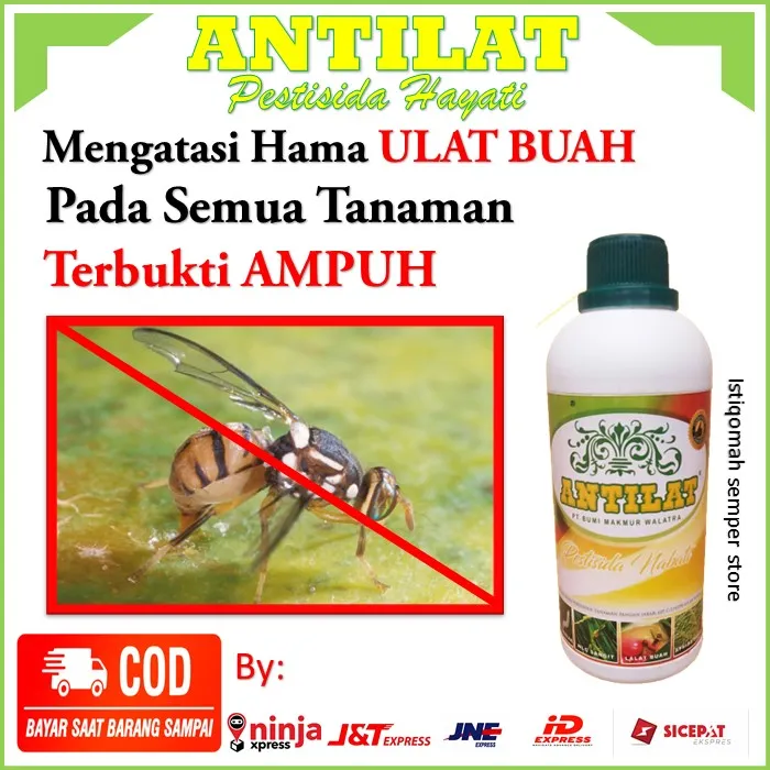 Promo Obat Untuk Mengatasi Hama Lalat Buah Antilat Pestisida Nabati Terbukti Paling Ampuh Isi 2308