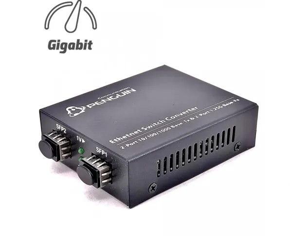 gigabit-sfp-converter-switch-2-sfp-2-ge