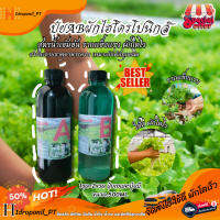 ปุ๋ยน้ำ AB ปุ๋ยไฮโดรโปรนิกส์ ขนาด500ml ใช้ปลูก ผักสลัด ผักไทย กินใบ New