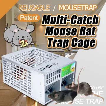 Upgraded Extra Large Electronic Rat Zapper That Kill Instantly Ultra Power  7000V Electric Mouse Trap Killer for Mouse Rat Vole and Chipmunk (Powered  by Battery or AC Adapter)