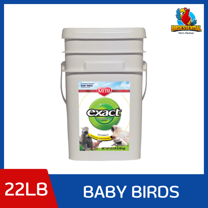 Kaytee Exact Hand Feeding Formula Baby Birds (22LB) Lazada PH