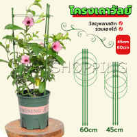 Pro โครงเถาวัลย์ เสามะเขือเทศ โครงปลูก อุปกรณ์สำหรับพืชไม้เลื้อย 45cm 60cm plant trellis