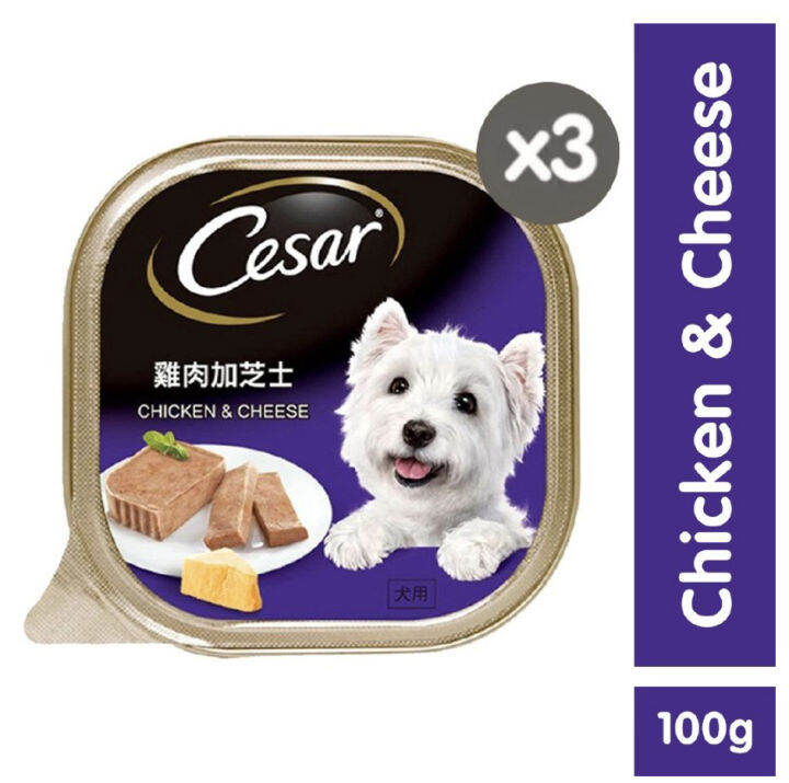 CESAR Wet Dog Food Chicken and Cheese Flavor Dog Food for Adult Dogs