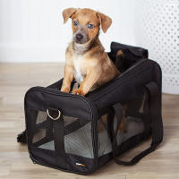 Travel Carrier Bag Portable Bag Folding Carrier Travel Carrier Bag Dogs or Cats Cage with Locking Safety Zippers