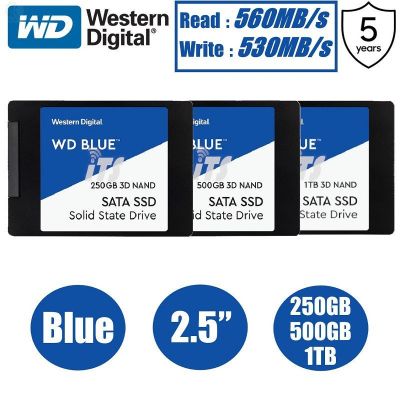 ลด 50% (พร้อมส่ง)Western Digital WD Blue โซลิดสเตตดิสก์ PC 3D NAND SSD 2.5 นิ้ว 7 มม. SATA (250GB 500GB 1TB)(ขายดี)