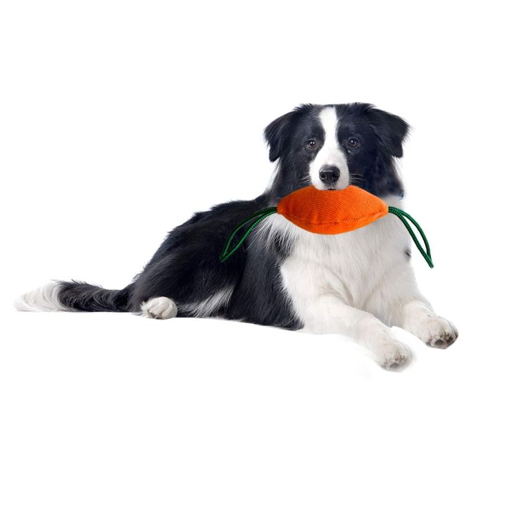 dogs-small-bite-stick-durable-dog-bite-toy-pillow-2-handle-large-medium-dog-bites-training-supplies-interactive-play-chewing-toy