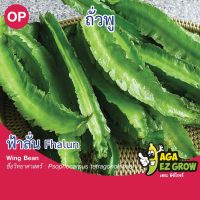 เมล็ดพันธุ์ ถั่วพู ฟ้าลั่น บรรจุ 5 กรัม [โปรโมชั่น ซื้อ10แถม1 คละได้]