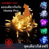 ( Pro+++ ) สุดคุ้ม ไฟกระพริบ ไฟคริสมาส สายไฟ เสียบไฟบ้าน LED String Fairy Lights สำหรับตกแต่งงานแต่งงาน หน้าร้าน ห้อง ต่อกันไม่ได้ ราคาคุ้มค่า อุปกรณ์ สาย ไฟ ข้อ ต่อ สาย ไฟ อุปกรณ์ ต่อ สาย ไฟ ตัว จั๊ ม สาย ไฟ