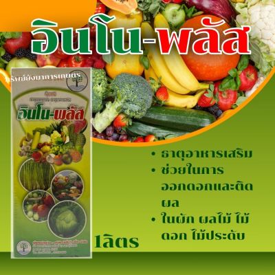 อินโน-พลัส 1ลิตร ธาตุอาหารเสริม ช่วยในการออกดอกและติดผล ในผัก ผลไม้ ไม้ดอก ไม้ประดับ