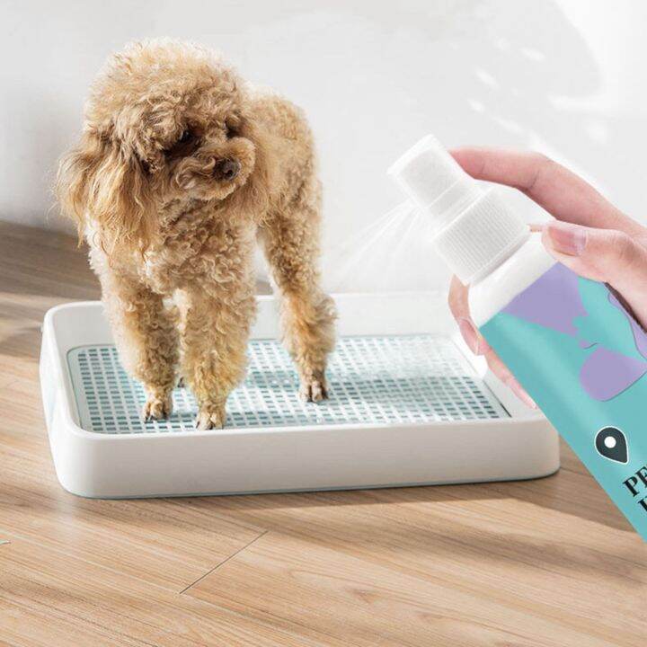 Pet Potty Training Spray Gentle 120ml Potty Training Aid Spray