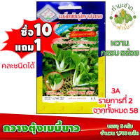 (ซื้อ10แถม1) เมล็ดพันธุ์ กวางตุ้ง เบบี้ขาว White Pak Choy ประมาณ 1,900เมล็ด 3A สามเอ บ๊อกฉ่อย บ็อกฉ่อย ผักสวนครัว เมล็ดพันธุ์พืช เมล็ดผัก เม็ดผัก