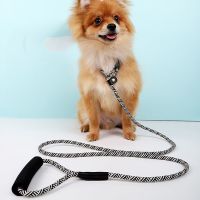 Puppy Rope Adjustable Prevent Break Free All-in-one Small Large Dog Nylon Pet Leash Dog Accessories High Quality Training Lead