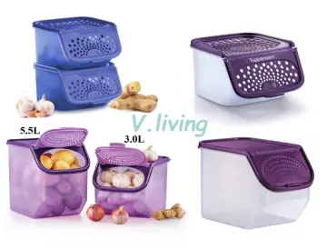 Shop Tupperware Potato Keeper online - Nov 2023