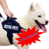 new product hot sale chest strap explosion-proof red dog leash big dog suit supplies outdoor products