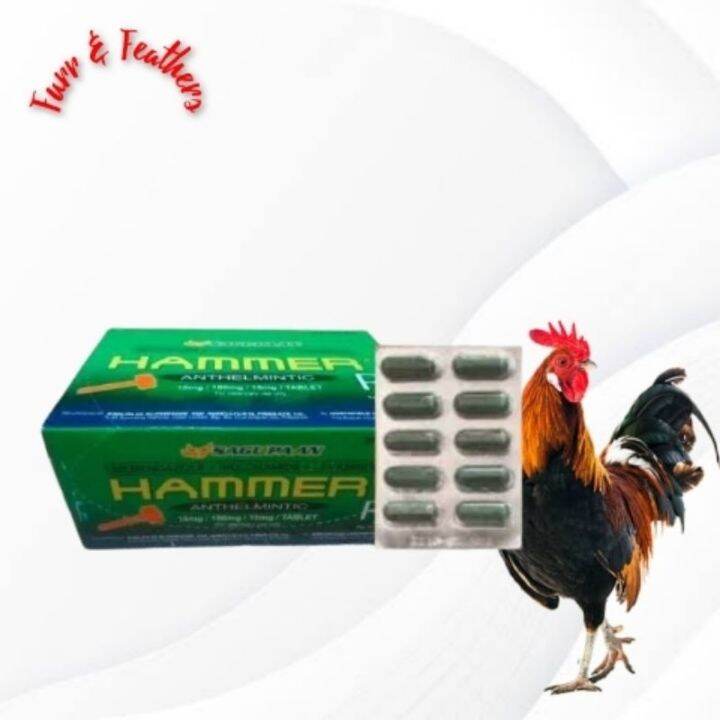 Hammer dewormer tablet Lazada PH