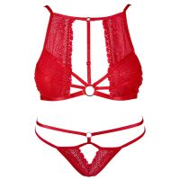 Perspective Bralette Sets Lenceria Intimates Sexy Lingerie Womens Ultra-thin Lace Temptation Underwire Bra Panty Set