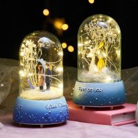 Crystal Ball LED Music Box Girl Birthday Gift Home Decoration Child Princess Girl Dancing Music Box Sky Festival Music Music box