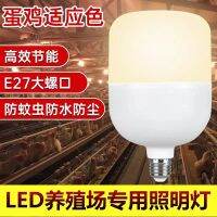 หลอดไฟประหยัดพลังงาน LED E27เล้าไก่เชิงพาณิชย์แบบสกรูสีอุ่นสีเหลืองไฟพิเศษสำหรับฟาร์มไก่ไข่หลอดไฟอุ่น