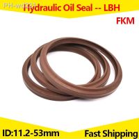 LBH Hydraulic Oil Seal Fluorine Rubber Dust RingCylinder Piston Sealing ring GasketFor Holeor Shaft2PiecesID 11.2-53mm