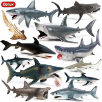 Oenux Ocean สัตว์ตัวเลขการกระทำ Sealife Shark Whare Megalodon รุ่น Figurines PVC ตกแต่งบ้านเด็กการศึกษาความรู้ความเข้าใจของเล่น