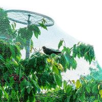 Agricultural Protection Network Gardening Net Garden Fence Bird Net Breeding Net Anti Bird Protect Tree Net Fruit Plant Pond Net