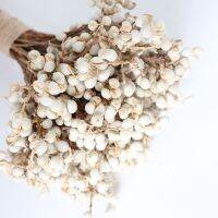 20pcs Natural Cotton Balls Dired Flower Plants Dry Real White Fruit Bunch Party Decorative Flowers Diy Wedding Home Decoration Colanders Food Strainer